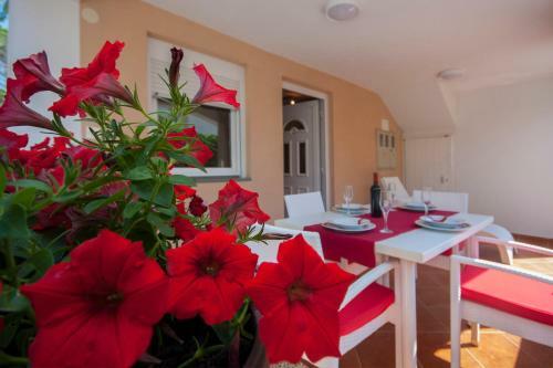 Apartmani Luka