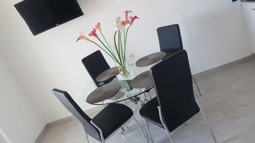 Apartmani Kozina