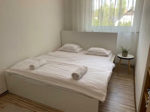 �lm�ny Balaton Hotel