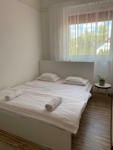 �lm�ny Balaton Hotel