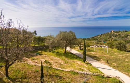 Into Lupene
