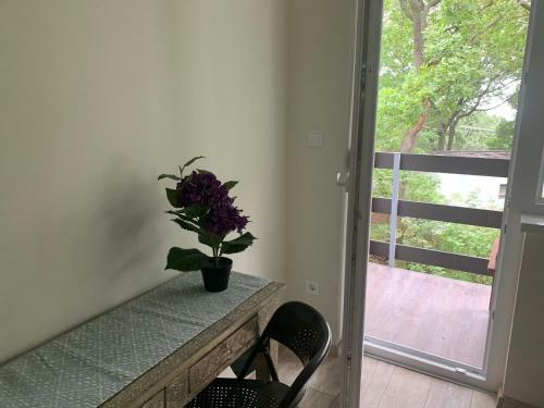 Apartamento Villa F�red