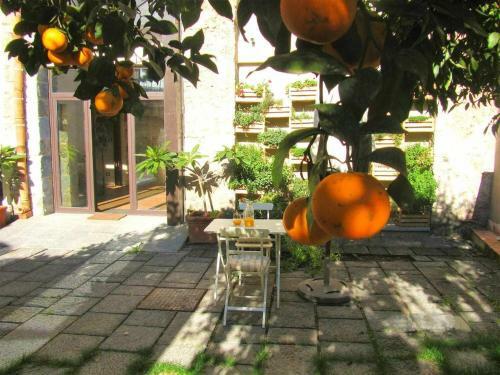 Bed & Breakfast Beb Comeinsicily Cortedeilimoni Charming E Relaxing Luxury