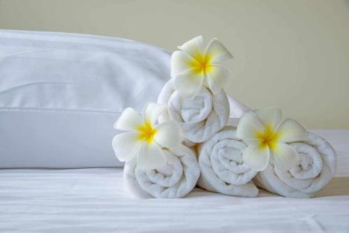 Bed & Breakfast Beb Comeinsicily Cortedeilimoni Charming E Relaxing Luxury