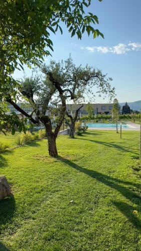 Agricamping Le Corniole