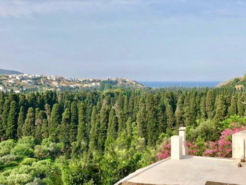 Villa Neoclassical Mansion With View And Garden