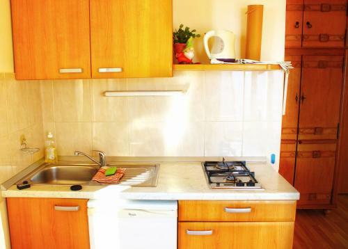 Apartamento Villa Maslina Olive