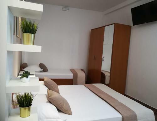 Apartments Carevic