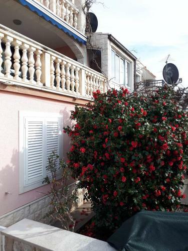 Apartment "kamelia"cavtat