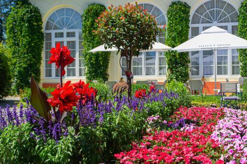 Hotel Hostel Palatul Brukenthal