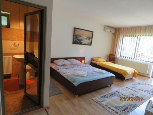 Hostal Cazare Casa Sandra