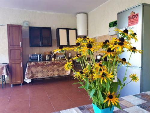 Hostal Guest House Lykhny
