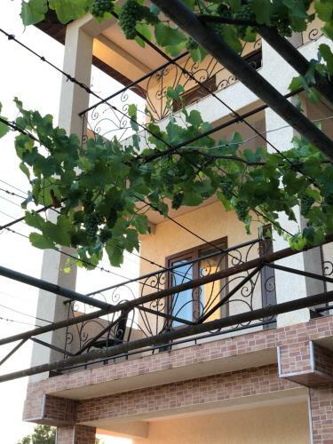 Hostal Guest House Lykhny
