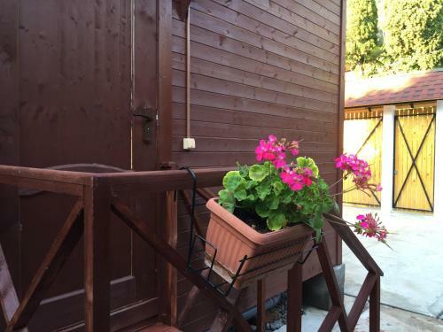 Hostal Guest House Mariya