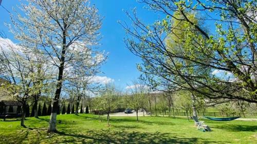 Hostal Pensiunea Gradina Mare