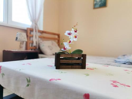 Hostal Guest House 51