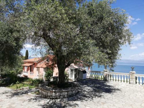 Apartamento Aurora Mansion (olive Branch)