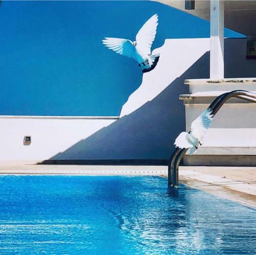 Melia?s Villa