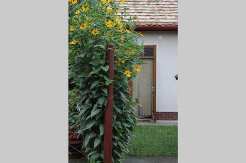 Apartamento Balla Mama, Hajd�szoboszl�