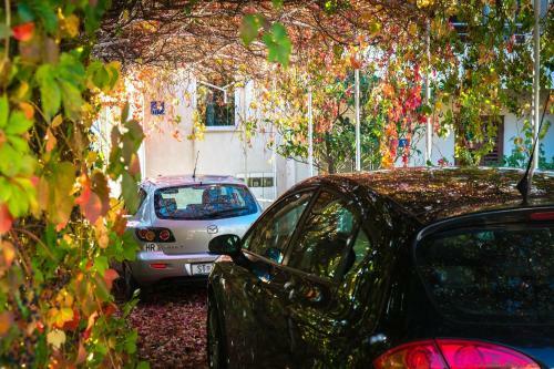 Apartments Duje
