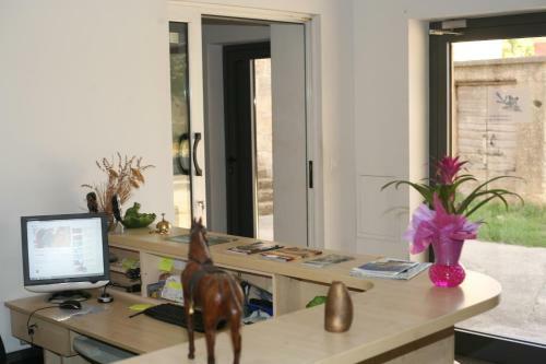Blue Frog Bed And Breakfast