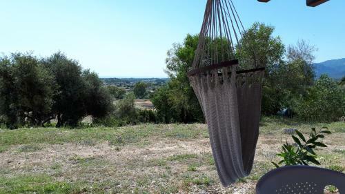 Apartamento La Collina Degli Ulivi