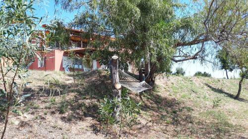 Apartamento La Collina Degli Ulivi