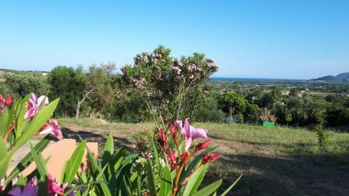 Apartamento La Collina Degli Ulivi