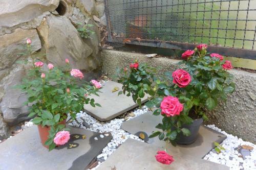 Apartamento Casa Leone Bogliasco