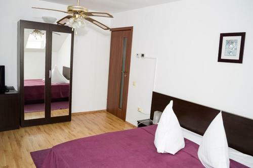 Hostal Pensiunea Arxavia