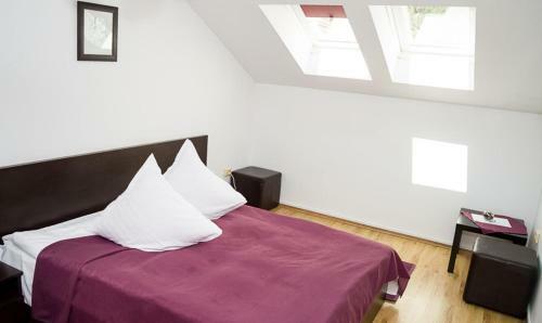 Hostal Pensiunea Arxavia