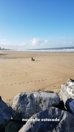 Apartamento Appartement � Ostende