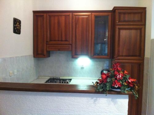 Apartments Paladina