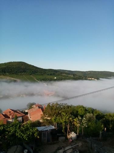 Hostal Rooms Serafin-lavanda