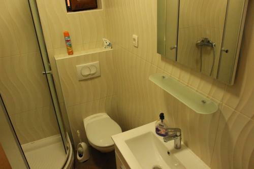 Apartmani Irena
