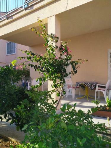 Mimoza (Mimosa) - Brand New Apartment!