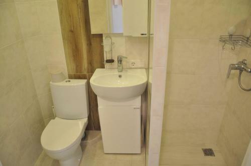 Apartment Bolharska 53