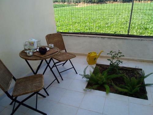 Apartamento Studio Oasis