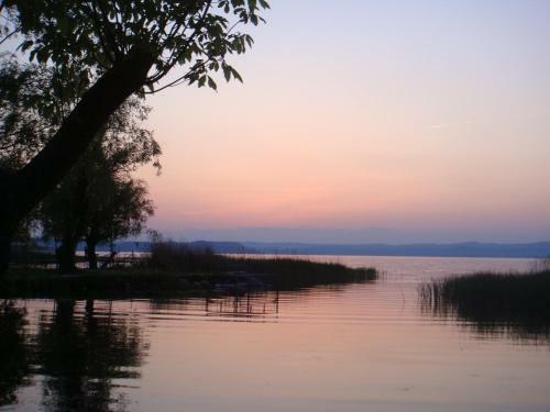 Zmrd, B�zavir�g Guesthouse