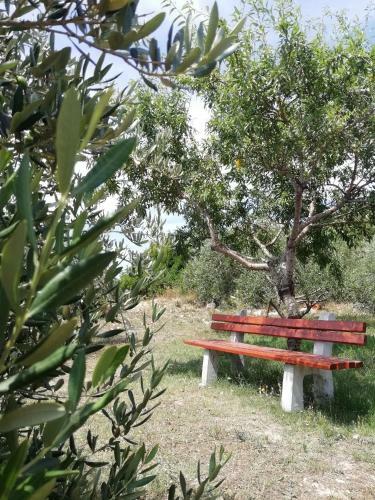 Apartamentos Lucija 2