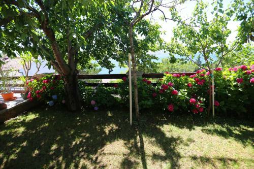 Apartman Marijan Pavelic