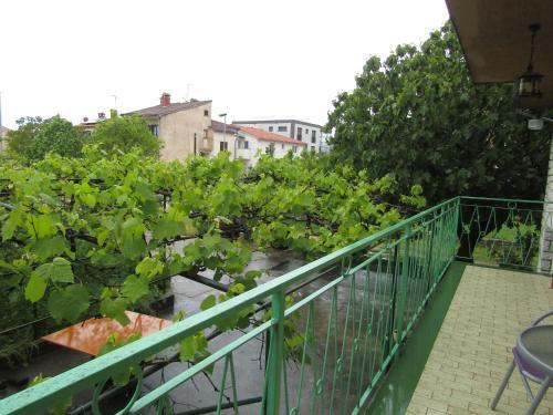Green Garden Apartments