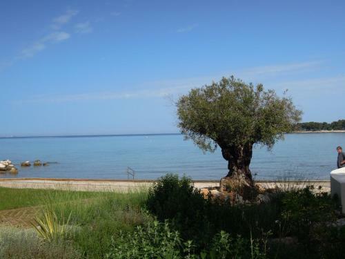 Apartamento Stella Maris Appartement