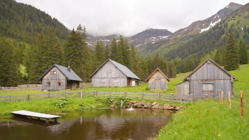 Alpine Chalet - H�ttfeldalm - Almh�tte - Panoramablick