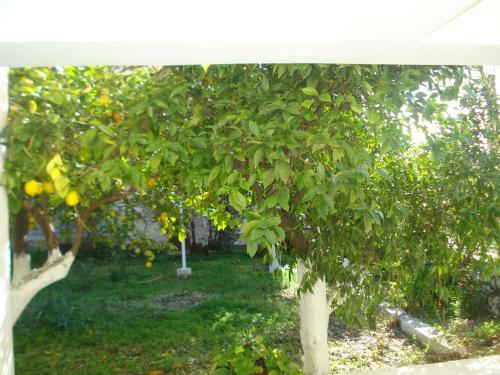 Artistic House In Limni Evias