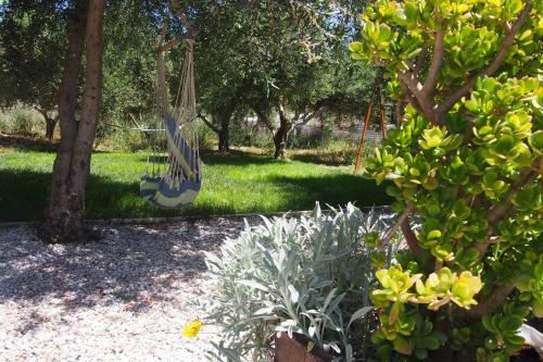 Apartamento El Kona