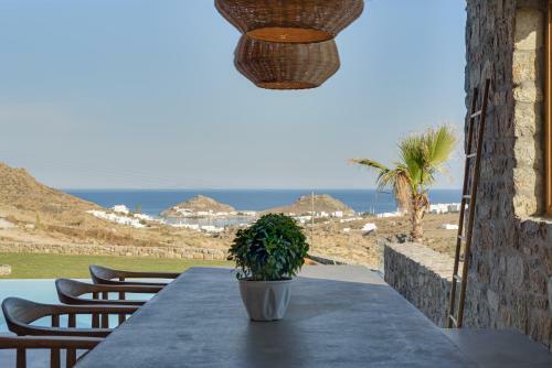 Villa Oasis 2