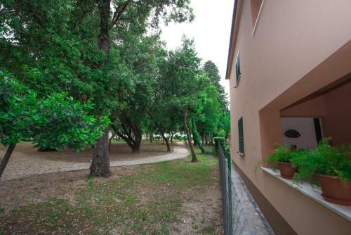Apartments Basic