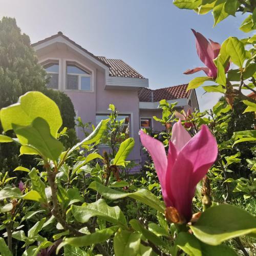 Hostal Vila Angela Felix