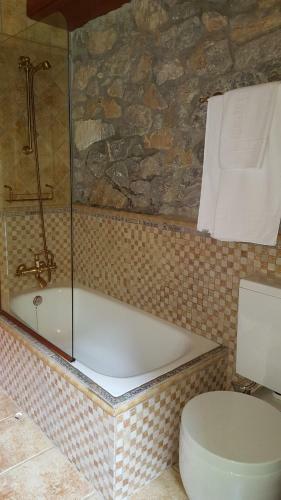 Apartamento Casa Modesta. Somiedo